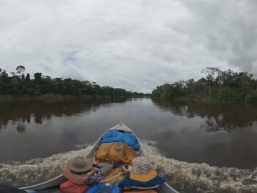 视频vr 伊泰内斯河，穿越玻利维亚和巴西的河流 Itenéz, a river through Bolivia and Brazil - Amazonia 360°